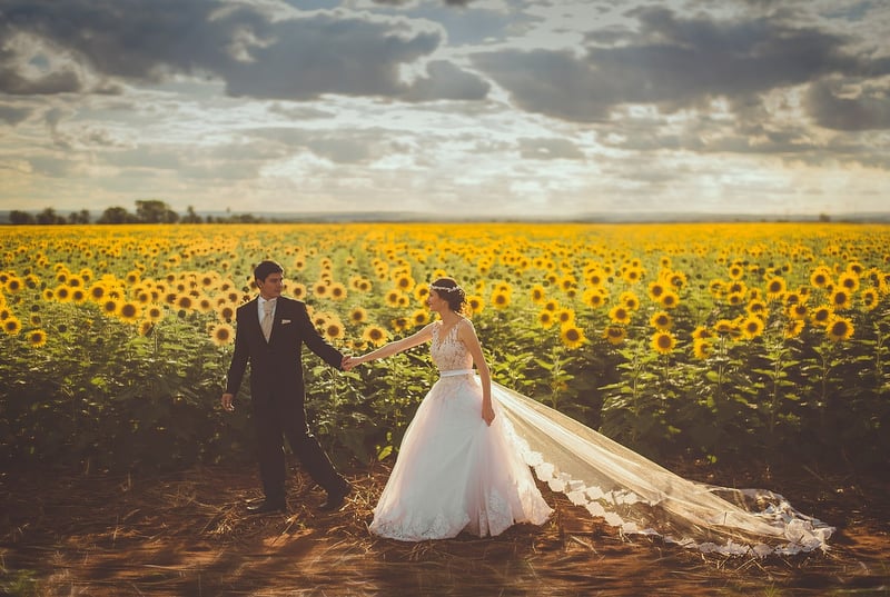 Sunflower Grove Gardens